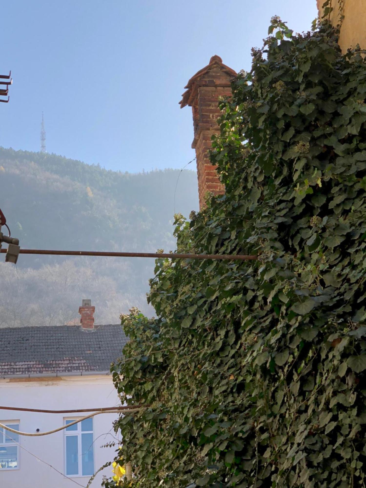 Charming Old Town Flat With Mountain View Lejlighed Braşov Eksteriør billede